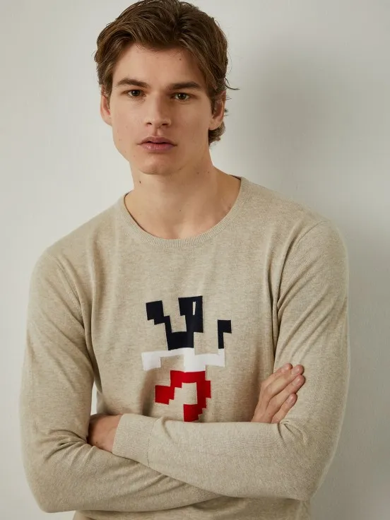 Cotton sweater with tricolor lion