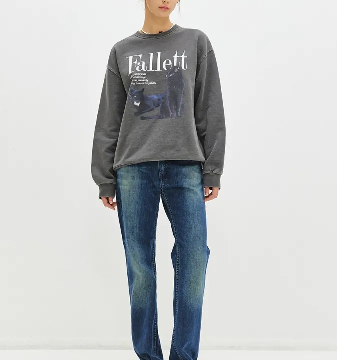 Fallett  |Unisex Long Sleeves Cotton Medium Logo Hoodies & Sweatshirts