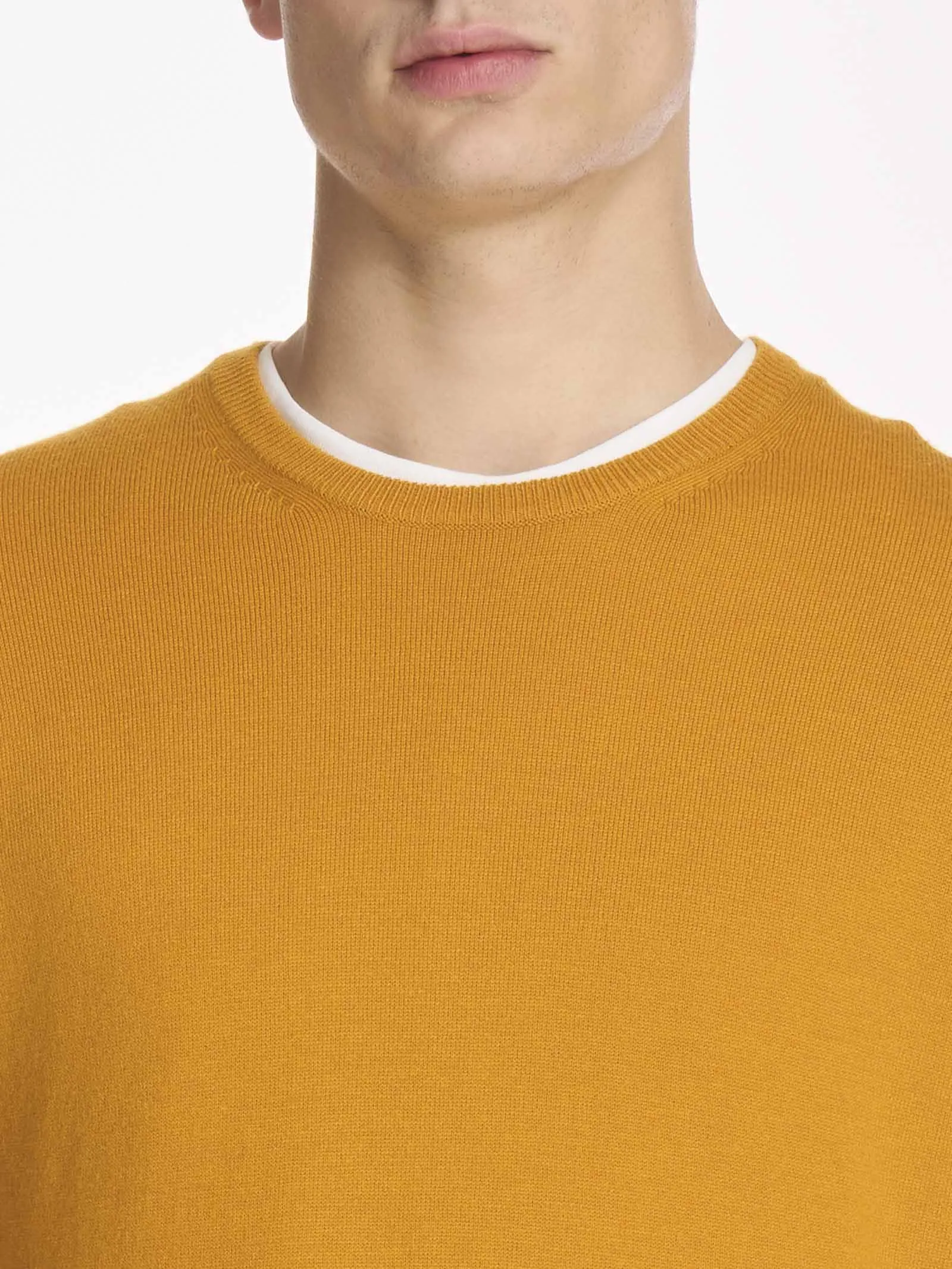 Pull girocollo in filato Sport Wool - Narcissus